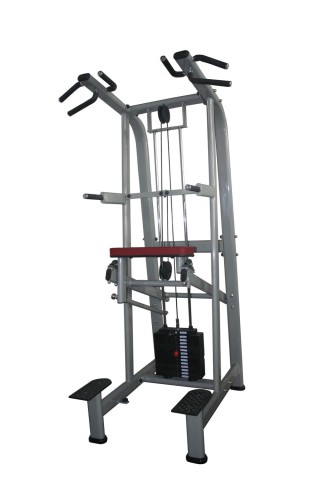 Használt | Felújított | ÚJ | Life Fitness Pro1 Dip/Chin Tolódzkodó / Húzodzkodó