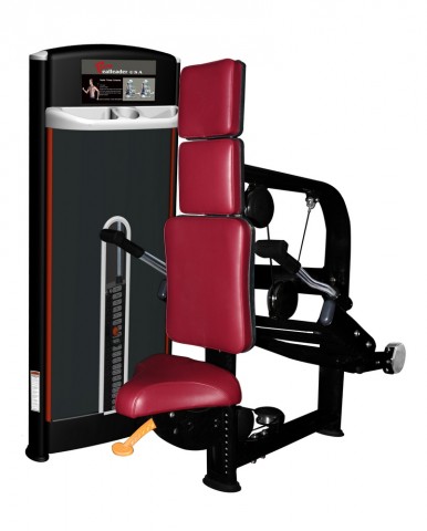 Használt | Felújított | ÚJ | RealLeader USA M7-1006  Tricepsz gép