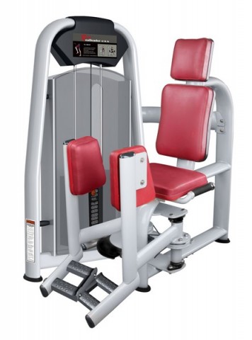Használt | Felújított | ÚJ | RealLeader USA M5-1003   Combtávolító gép