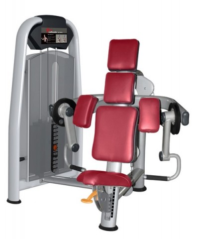 Használt | Felújított | ÚJ | RealLeader USA  M5-1010  Bicepsz gép