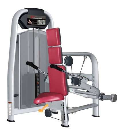 Használt | Felújított | ÚJ | RealLeader USA M5-1011 Ülő tricepsz gép